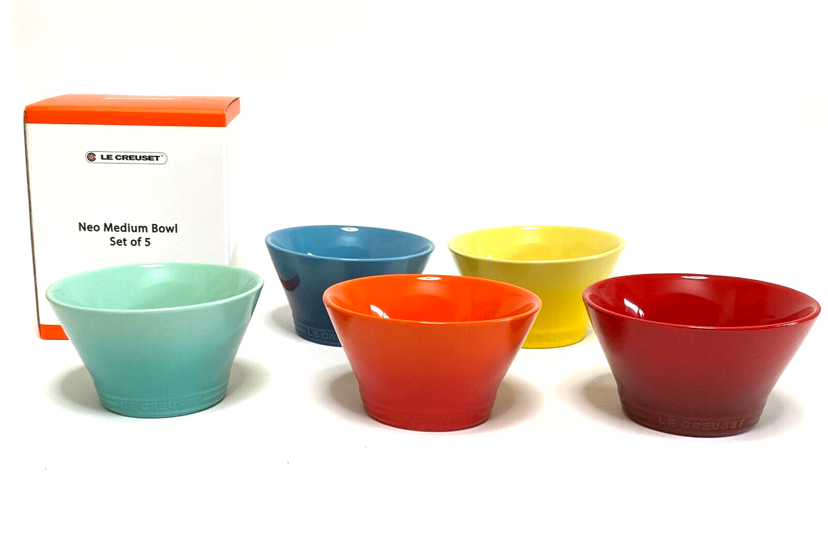 Le Creuset Neo Bowl M Size 5 pcs set Rainbow Color Soup Rice Bowl