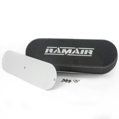 Ramair Schraubluftfilter Twin Carb / ITB, mit blanker Grundplatte - 115 mm Flat Top