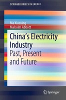 Ma Xiaoying (U. A.) | China's Electricity Industry | Taschenbuch | Englisch | Xv