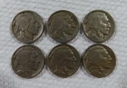Lot of (6) 1915-1929 Buffalo Nickels in varying conditions, Nice semi-key lot!!