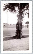 Vtg B W Snapshot WW2 Man in Uniform By Palm Tree 1942