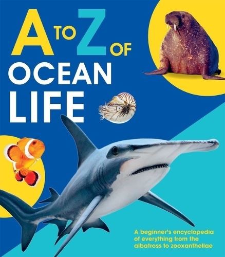 A-Z Of Ocean Life