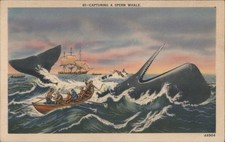 Capturing Sperm Whale: Whaling Boats Ship Rough Seas METROCRAFT Original Vintage