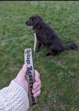 Heritage Reservation Dog Leash 6' USA Made Heavy Duty Webbing Swivel Snap