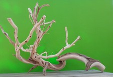 Sandblasted Natural Manzanita Driftwood Bush With Stump  Branches