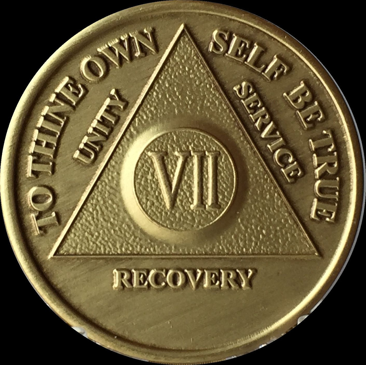 7 Year AA Medallion Alcoholics Anonymous Sobriety Chip Coin VII 