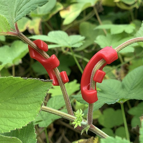 12Pcs Plastic 90° Plant Benders Trainer Growth Manipulation Tutors Plants Cl#$6 - 第 7/14 張圖片