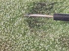 3 Needles 804-DS77 for SONOTONE N8 N-8TA 8T 8T4 N676 STYLUS Stylii Pfanstiehl  — photo 9
