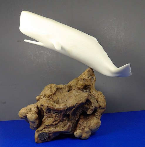 SIGNED JOHN PERRY WHITE WHALE SCULPTURE ON BURL DRIFTWOOD 9X10.5"