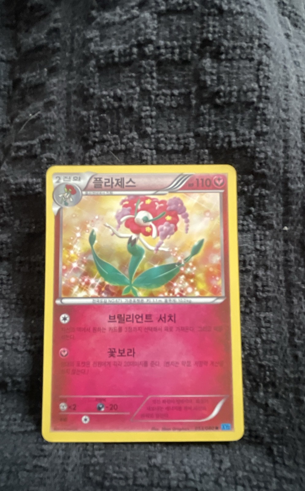 Florges 053/080 Xy2: Wild Blaze Holo (Japanese)