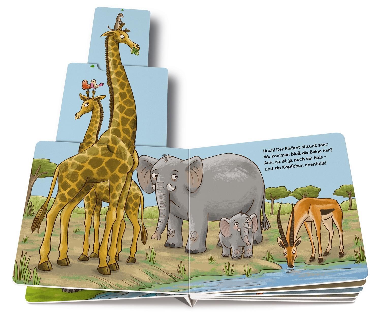 Thumbnail - Zieh 2-mal ... Und Finde Die Tiere Sandra Grimm