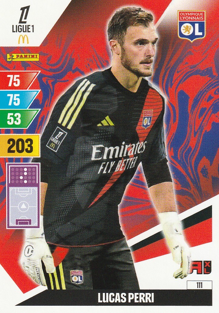Album Cartes à Collectionner Panini Foot 2024 Ligue 1 Avec 2 Pochettes Et 2 Offertes