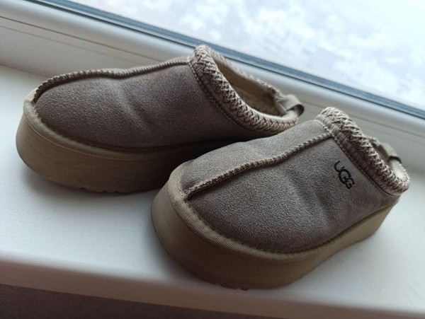 Women UGG Tazz Beige Suede 37