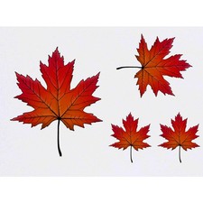 4 x 'Maple Leaf' Temporary Tattoos / Transfers TO00048155 