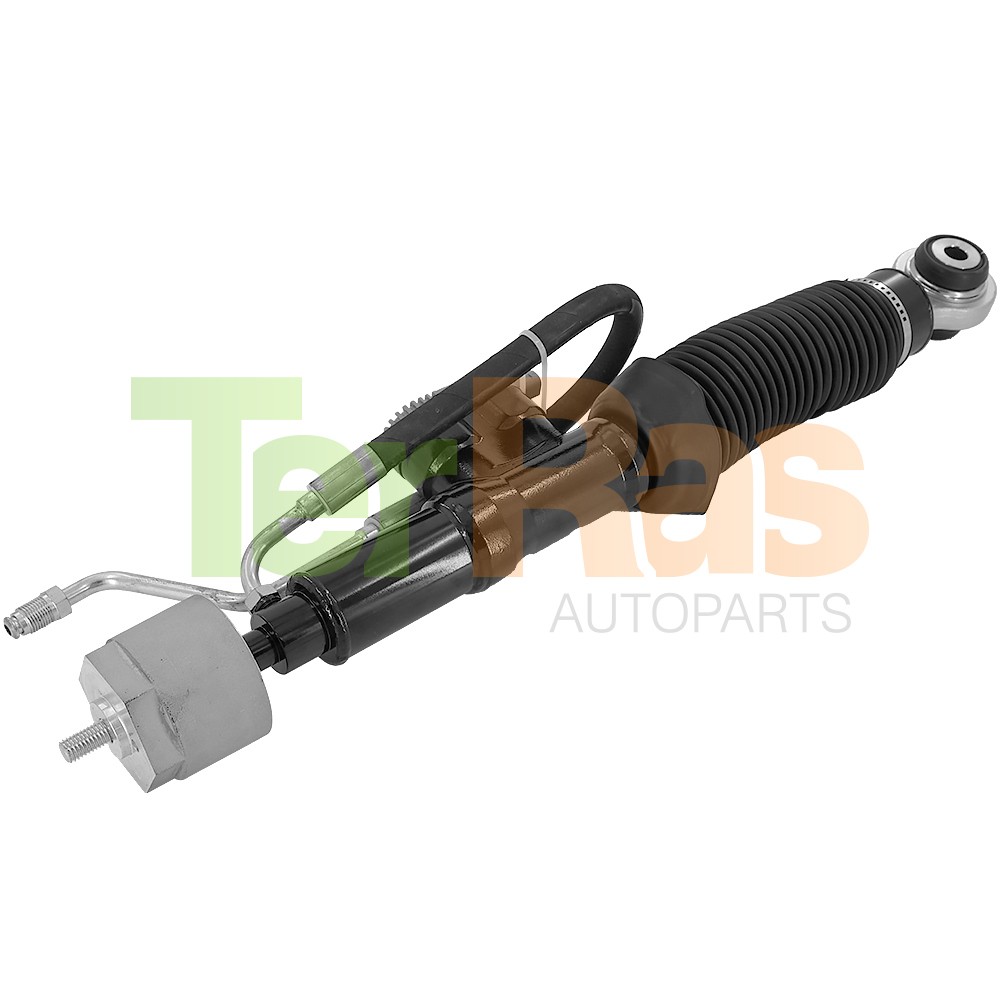 2PCS Rear Hydraulic Shock Struts Assys For Bentley Arnage T RL 6.8L V8 2005-2009