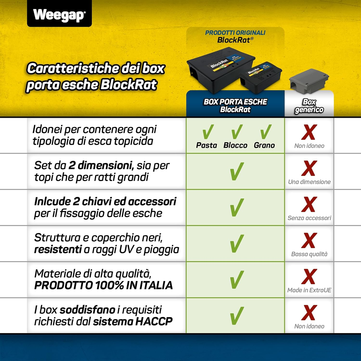 Foto 7 di 12