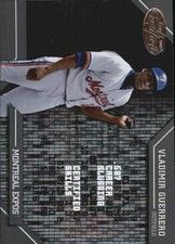 2002 Leaf Certified Skills #CS18 Vladimir Guerrero