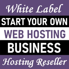 Web Hosting Business Website with VPS Server 300GB HDD + 8GB RAM + 4 Core cPU