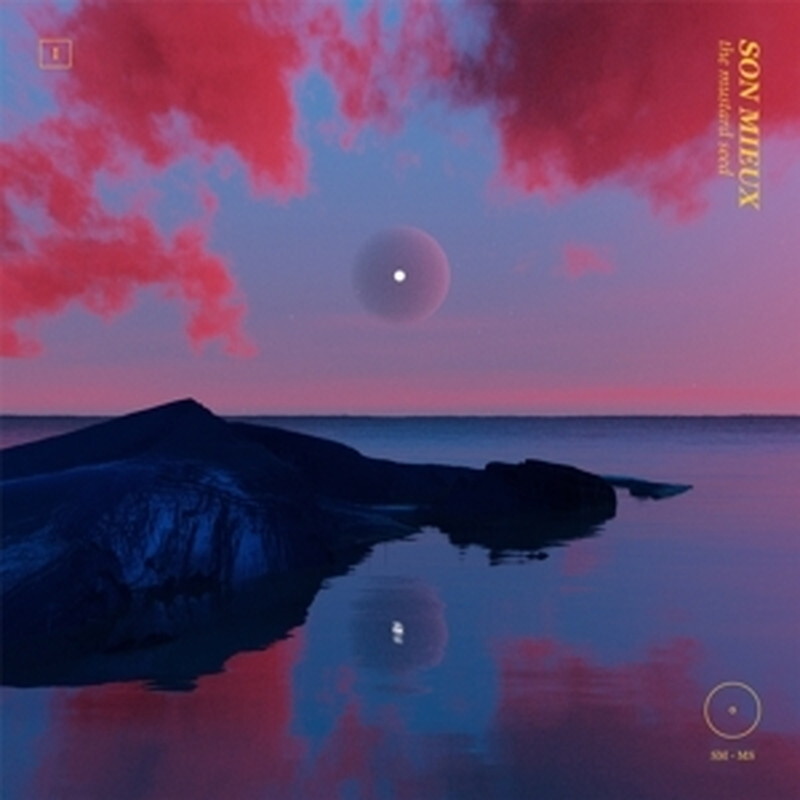 Son Mieux/Горчичное зерно Pt.1 60243821100 Новый 12"