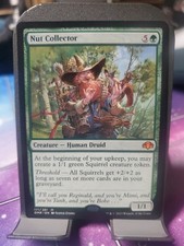 Nut Collector - Dominaria Remastered: #171, Magic: The Gathering Nm C252