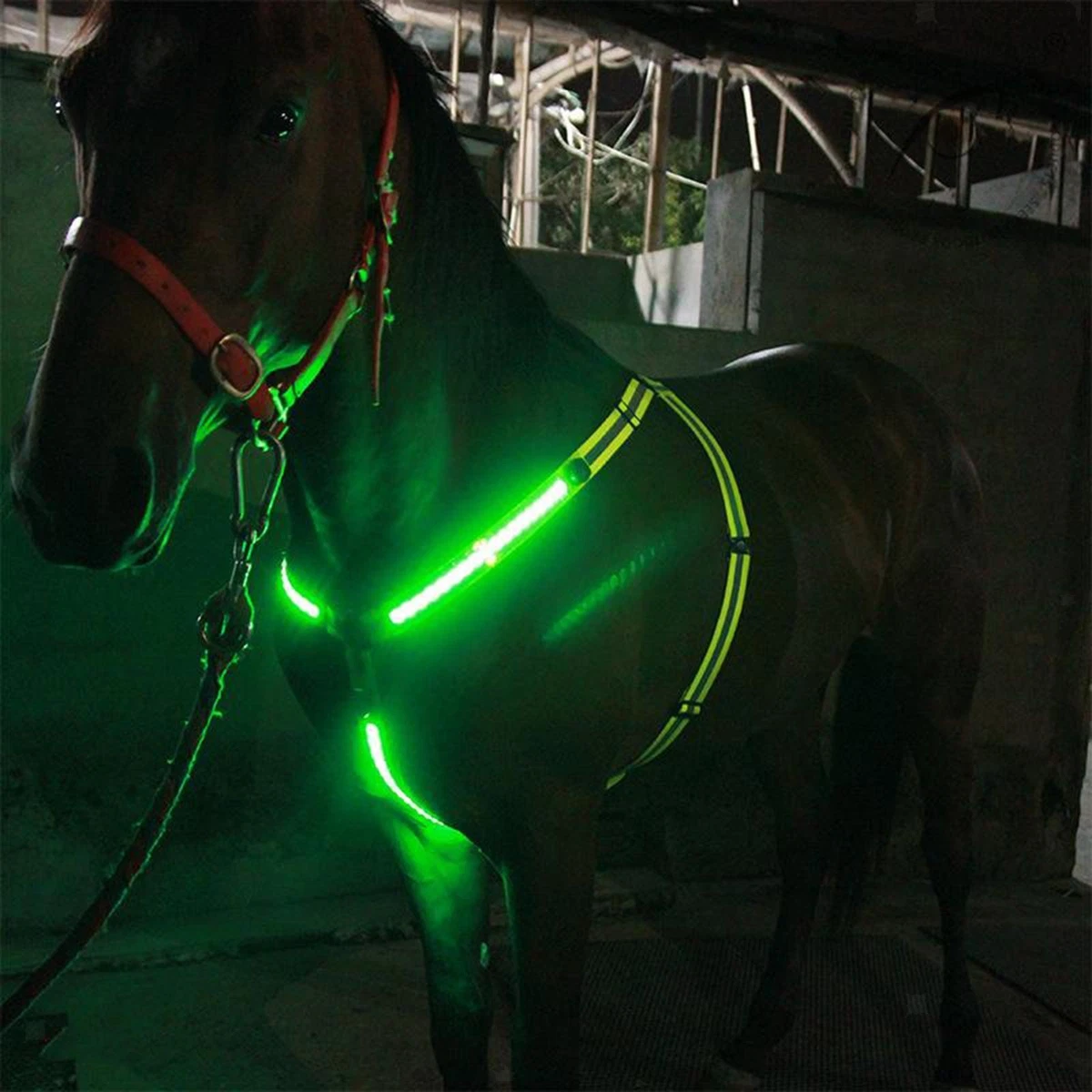 Horse Show Saddle Tack Wildrace bridon western cuir tête de