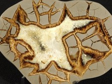 Larger! Polished FLUORESCENT SEPTARIAN Nodule Slab with Stand From Utah 315gr