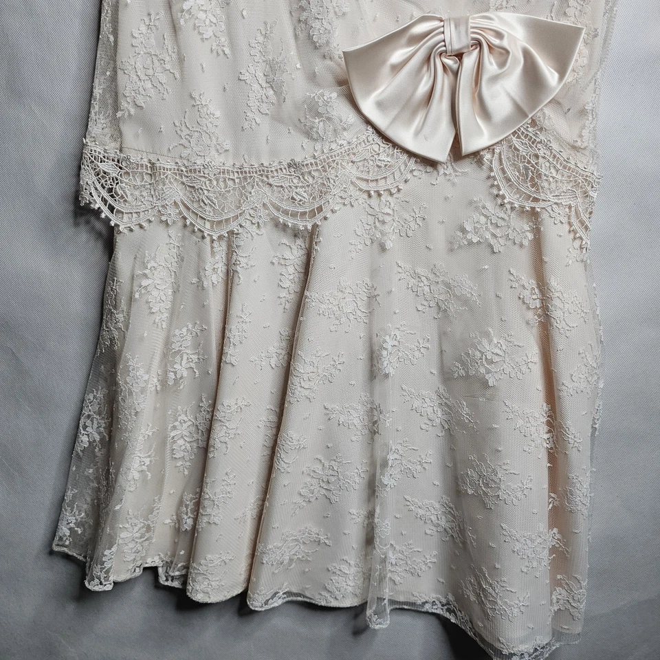 Vestido de encaje rosa bebé de colección para mujer talla 10 Barbara Chodos para Michael Marcella Ltd. Foto 3 de 4