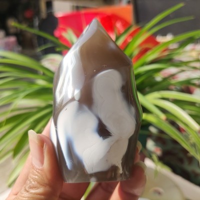 230gRARE Natural Orca agate torch flame Crystal Freeform healing decor C063
