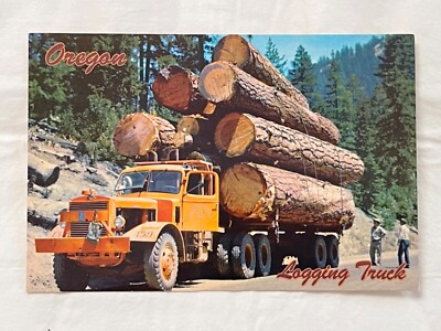 Unposted ''World's Tallest Tree'' Redwood National Park Tall Trees Grove Postcard
