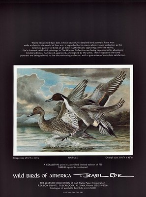 1990 BASIL EDE Art Gallery Exhibition Wild Birds Pintails 1-Pg Magazine PRINT AD