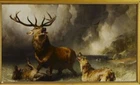 Oil Painting repro Sir Edwin Landseer - Stag at Bay