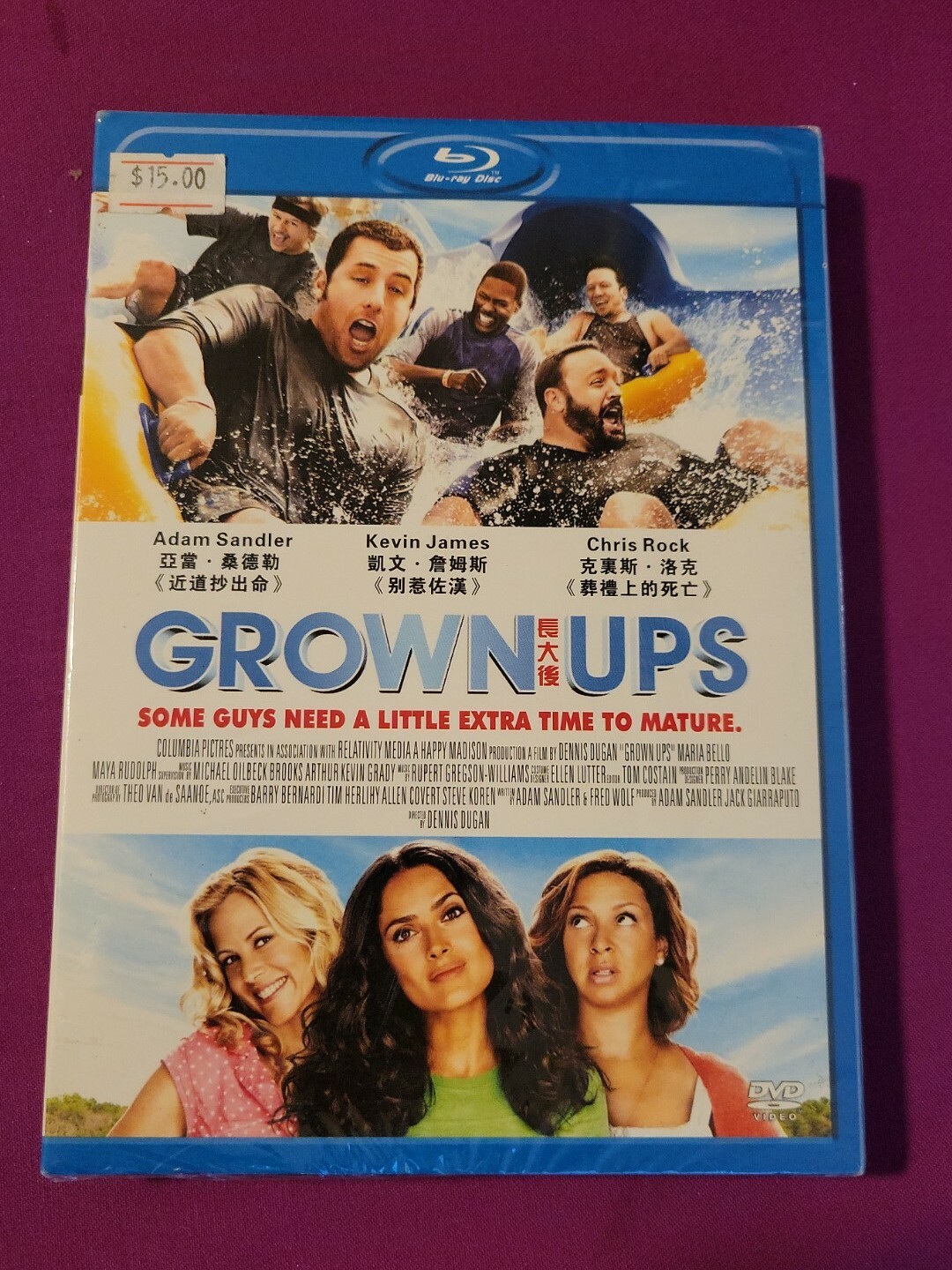 Maria Bello Grown Ups 2 Yoga