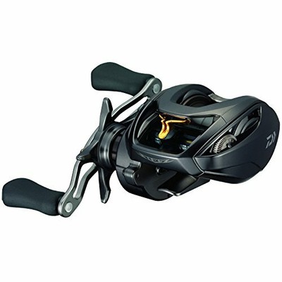 DAIWA STEEZ SV TW 1016-SV-H Baitcasting Reel From Japan | eBay