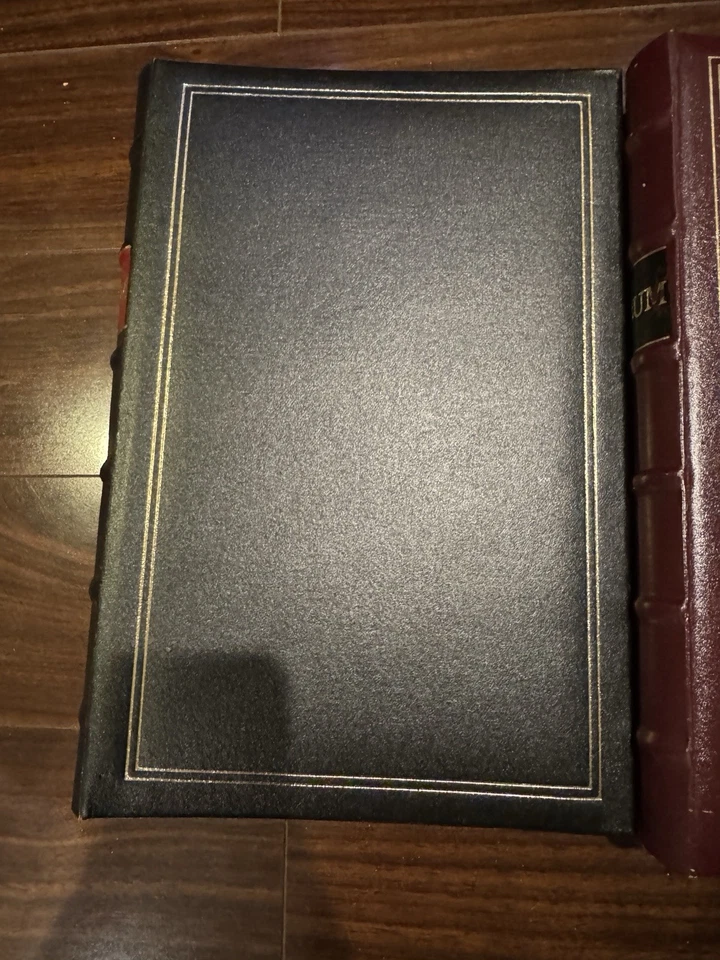 Álbum de fotos de bolsillo Pioneer de cuero unido 200+ 4x6 y 4x12 panorámico elige el color Foto 2 de 4