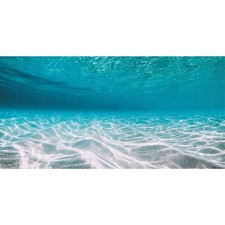 48x24 Inch Ocean Floor Aquarium Background Underwater Scene