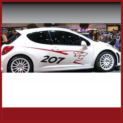 Aufkleber / Sticker / Seitenbeschriftung / Dekor / Peugeot RC 207 ...