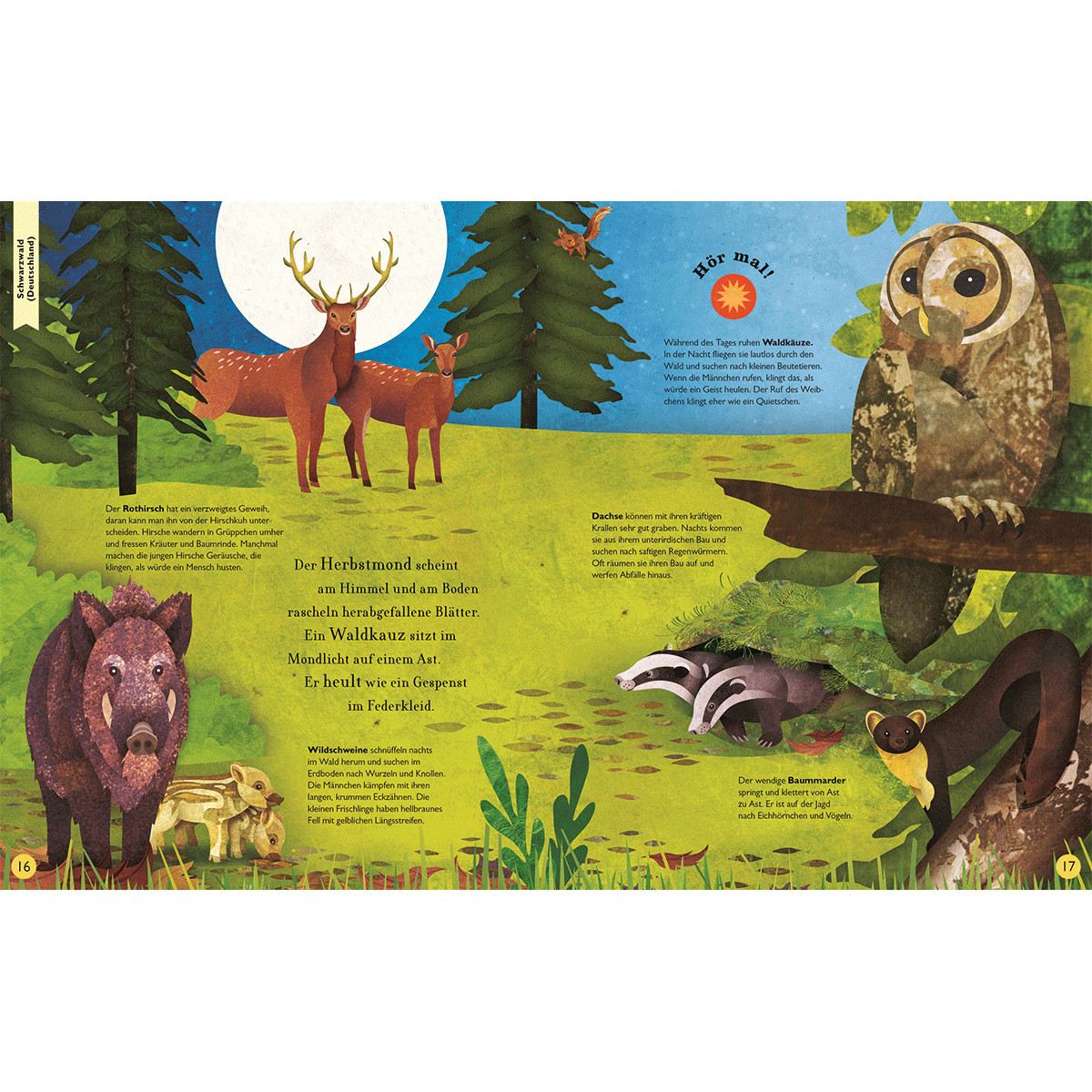 Thumbnail - Der Klang Der Tiere. In Den Lüften. Sound-buch. Moira Butterfield