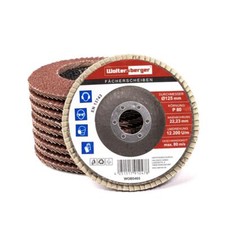 F&auml;cherscheiben 125mm 10 St. Rot Lamellenscheibe F&auml;cherschleifscheibe Korn 40-120