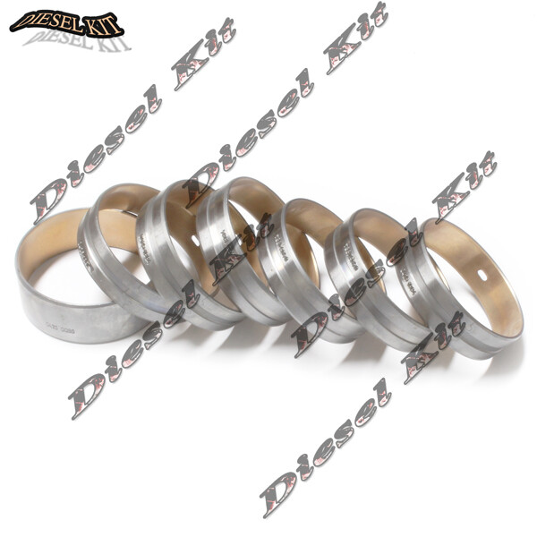 Camshaft Bushing Set 04251884, 04250086 For Volvo Volvo D4D BL60 