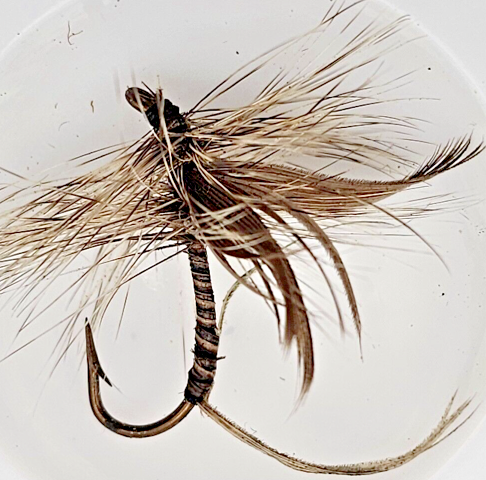 Set of 6 Hand Tied Fly Fishing Flies Brown Black Tan and Rust Colors eBay