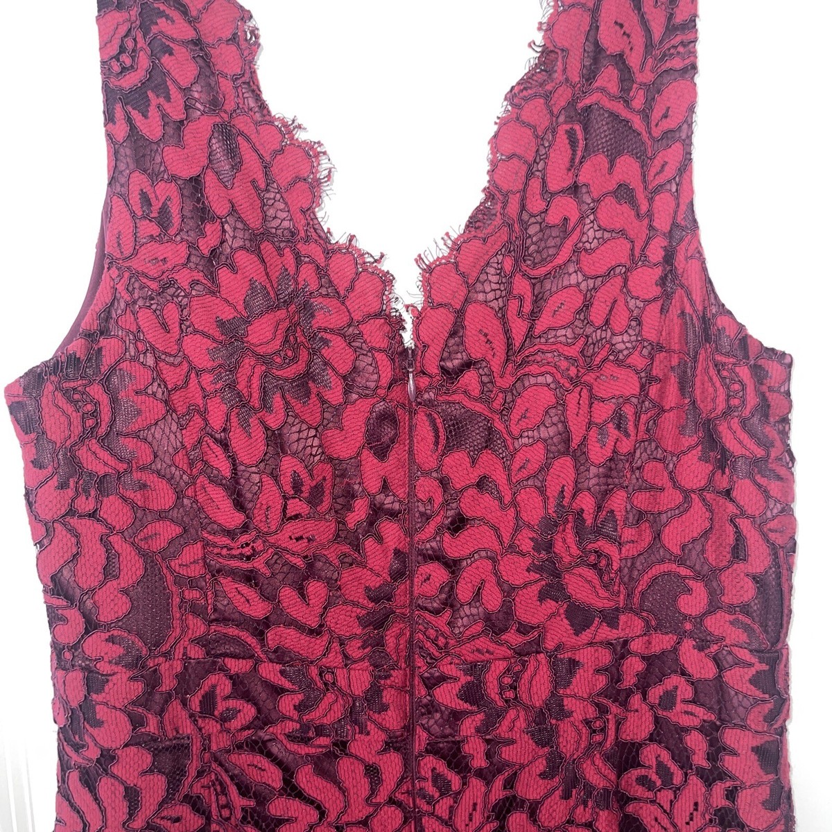 Women's Eliza J Tulip Hem Lace Cocktail Dress, Size 12 - Burgundy