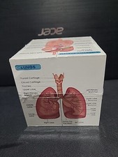 Human Anatomy Study Cube Study 9 Parts of the Human Body Perfect Anatomy Rev
