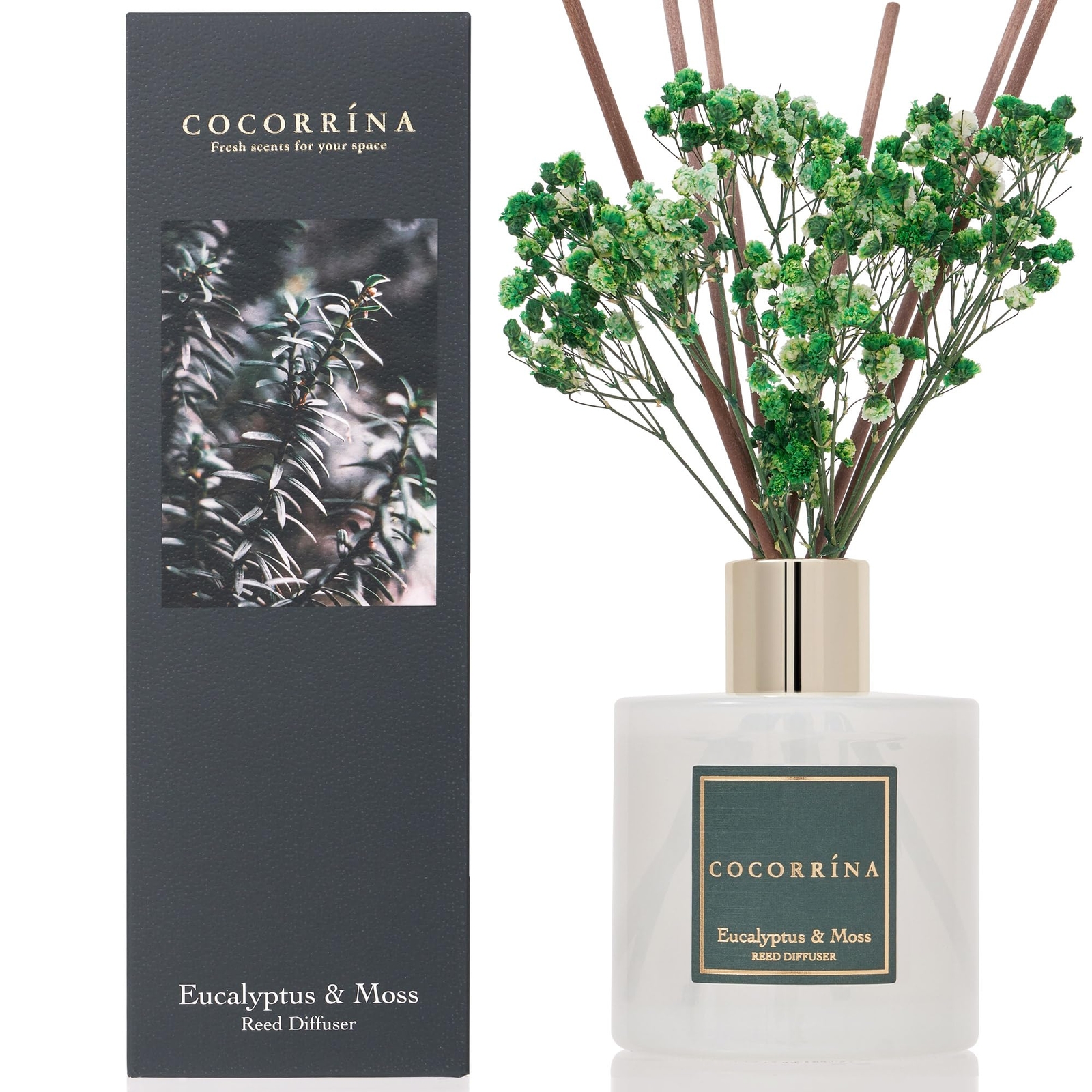 Cocorrna Reed Diffuser Sets Eucalyptus & Moss Scented Diffuser With Sticks Home-image