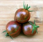 Purple Bumblebee Cherry Tomato Seeds. 10 Organic Seeds Free Shipping!