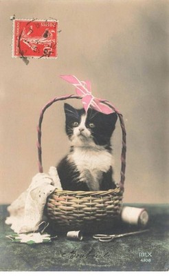 Katzen #MK40089 Kätzchen Schwarz und Weiß IN Ein Korb Couture Strang Schere