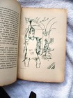 1939 GIUSEPPE NOVELLO Italian Opera CARICATURES ORIO VERGANI BASSO PROFONDO — photo 6