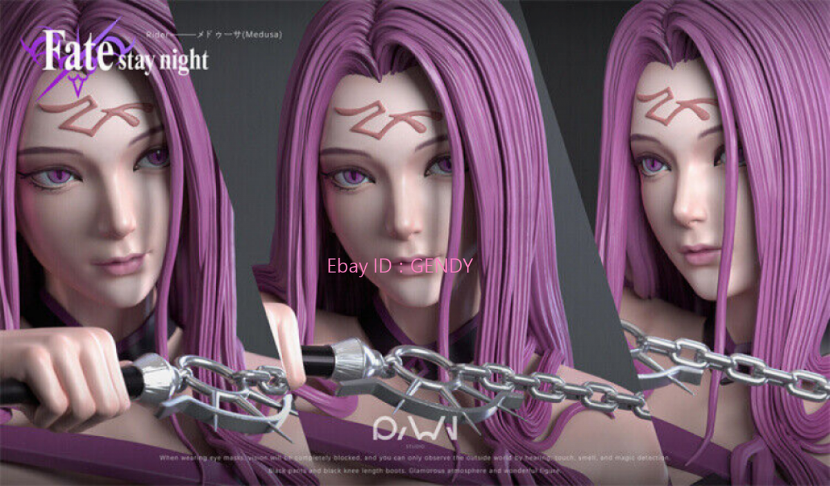 Fate RWN Rider フィギュア ガレージキット スタチュー Fate RWN Rider フィギュア ガレージキット スタチュー