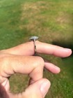 Pre- Owned Vintage Annabella Moissanite Sterling Sliver 9.25 stamped — photo 2