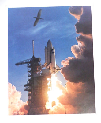 NASA 1981 First Space Shuttle (Columbia) Launch Complex 39A 8'' x 10'' Photo