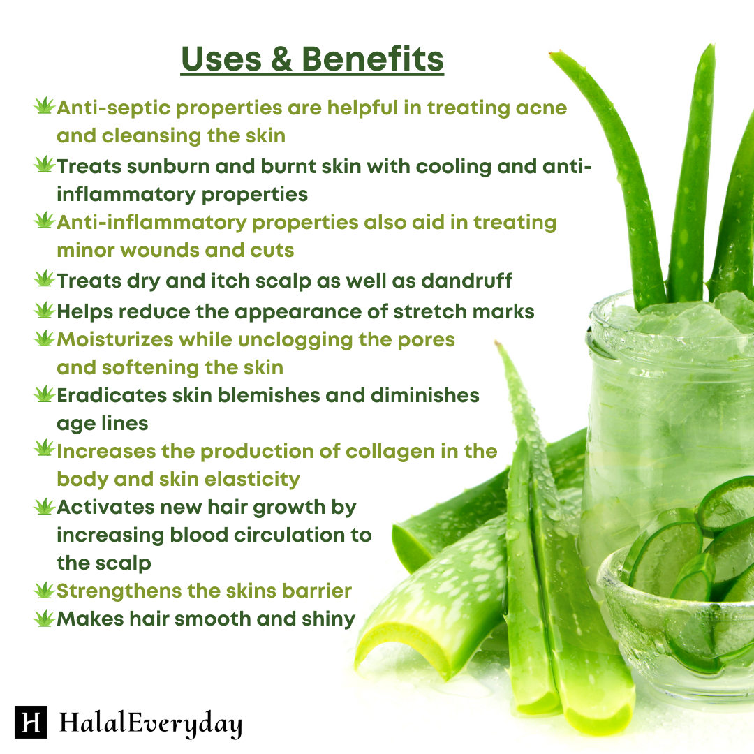 100% Pure Aloe Vera Gel Organically Sourced Skin Care Moisturizer Cosmetic  Grade | eBay